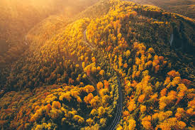 Modificări și completări ale sistemului RO e-Transport