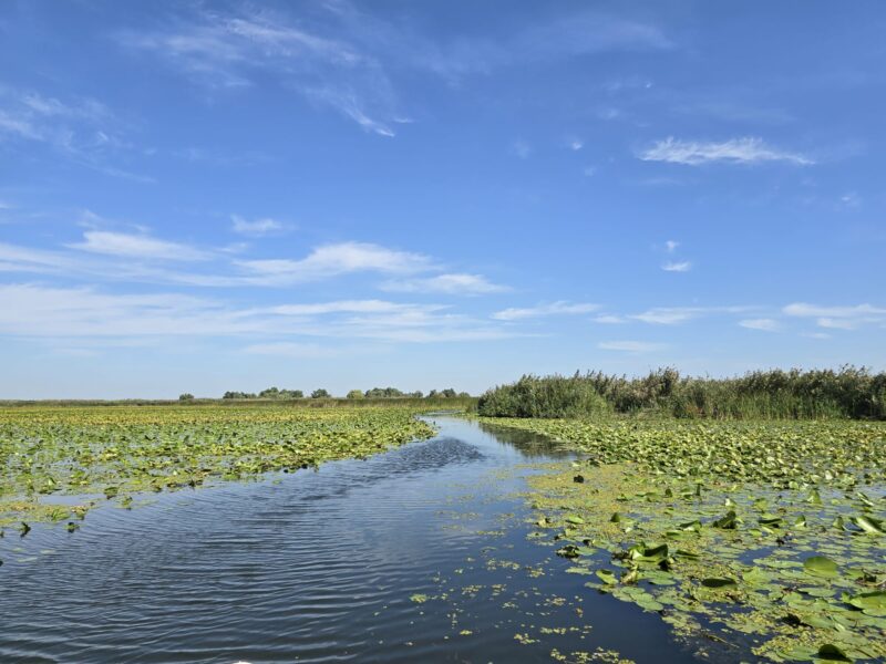 Modificări și completări ale Codului fiscal